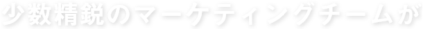 少数精鋭のマーケティングチームが